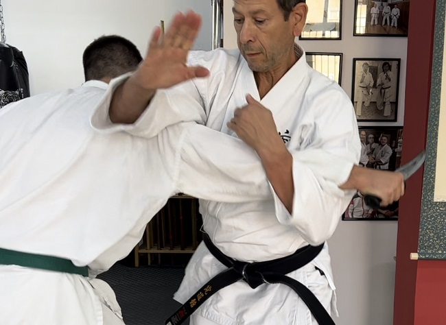 bunkai